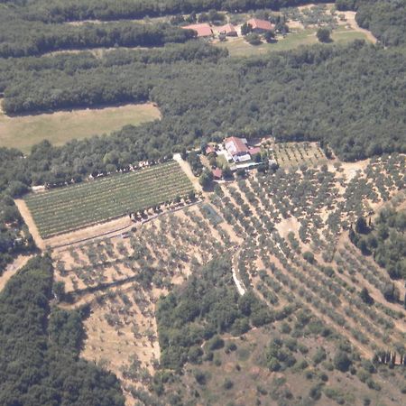 B&B Ca' Morino Верона Екстер'єр фото